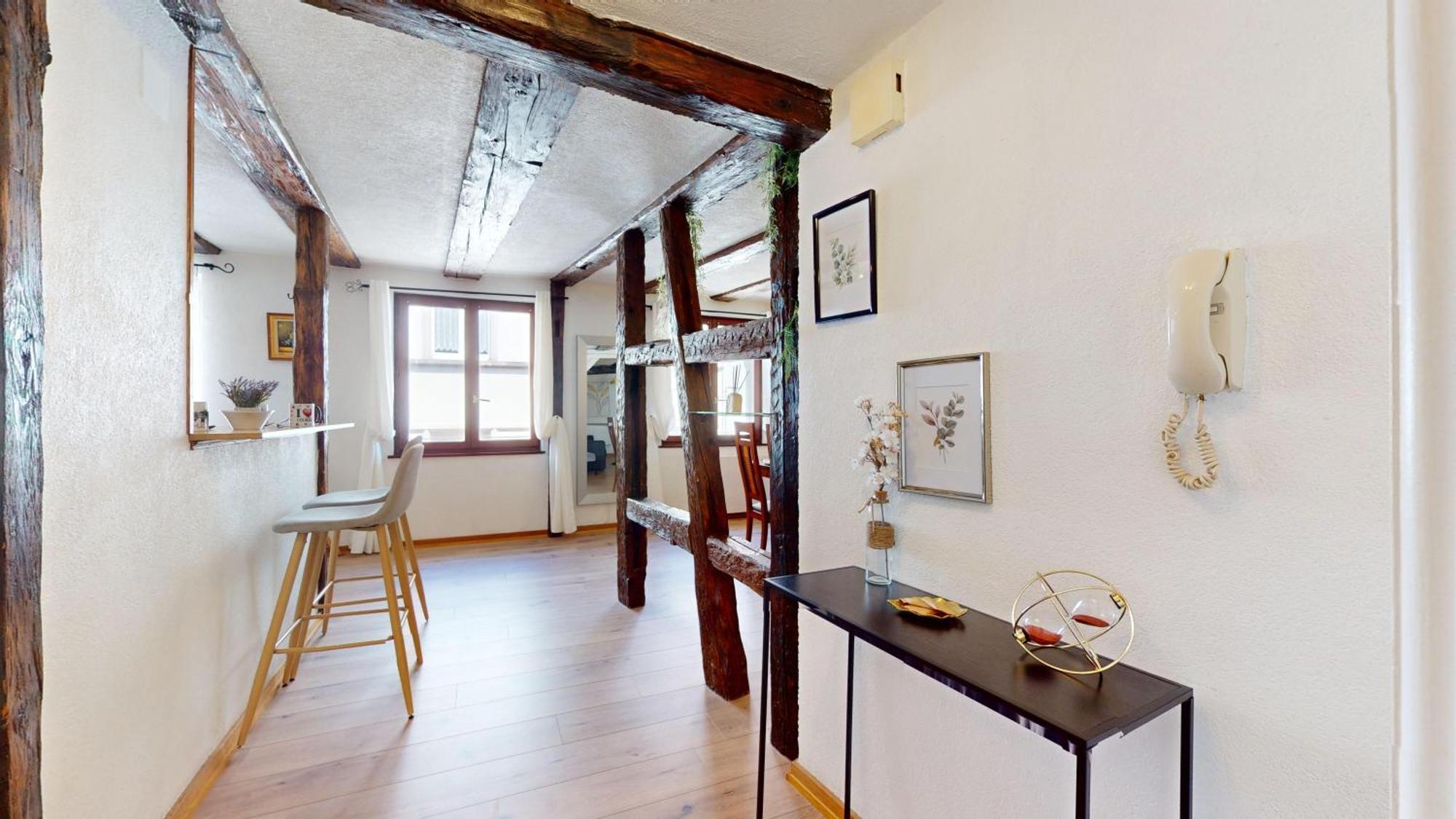Au Petit Vauban 2 Chambres & Parking กอลมาร์ ภายนอก รูปภาพ